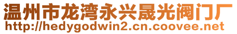 温州市龙湾永兴晟光阀门厂