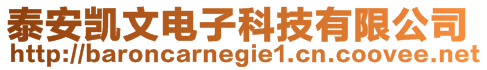 泰安凯文电子科技有限公司