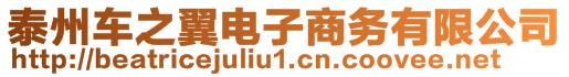 泰州車之翼電子商務(wù)有限公司