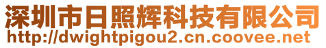 深圳市日照輝科技有限公司