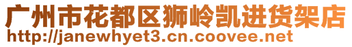 廣州市花都區獅嶺凱進貨架店