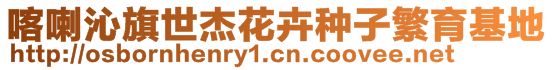 喀喇沁旗世杰花卉種子繁育基地