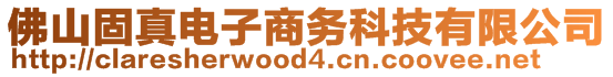 佛山固真電子商務(wù)科技有限公司