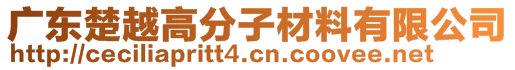 廣東楚越高分子材料有限公司