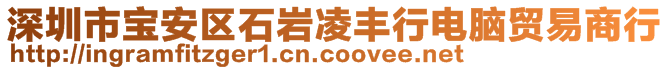 深圳市寶安區(qū)石巖凌豐行電腦貿(mào)易商行