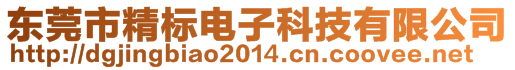 東莞市精標(biāo)電子科技有限公司