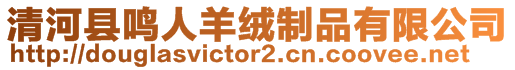 清河縣鳴人羊絨制品有限公司