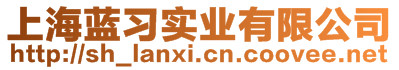 上海藍(lán)習(xí)實(shí)業(yè)有限公司