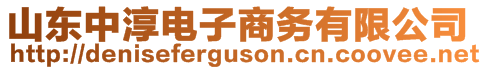 山東中淳電子商務(wù)有限公司