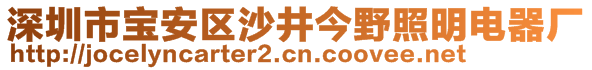 深圳市寶安區(qū)沙井今野照明電器廠