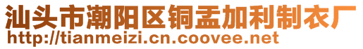 汕頭市潮陽區(qū)銅盂加利制衣廠