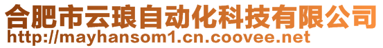 合肥市云瑯自動化科技有限公司