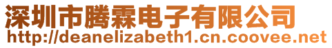 深圳市騰霖電子有限公司
