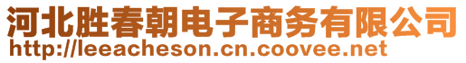 河北勝春朝電子商務(wù)有限公司