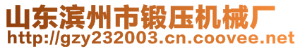 山東濱州市鍛壓機械廠