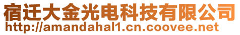 宿遷大金光電科技有限公司