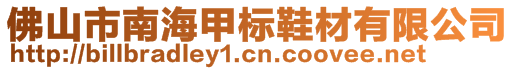 佛山市南海甲標(biāo)鞋材有限公司