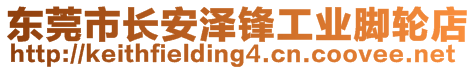 東莞市長安澤鋒工業腳輪店