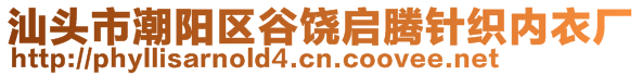 汕头市潮阳区谷饶启腾针织内衣厂