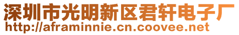 深圳市光明新區(qū)君軒電子廠