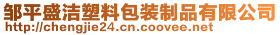 鄒平盛潔塑料包裝制品有限公司