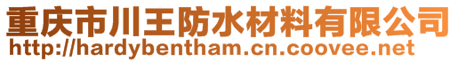 重庆市川王防水材料有限公司