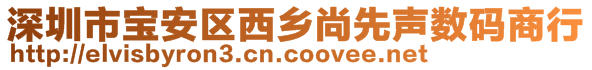 深圳市宝安区西乡尚先声数码商行