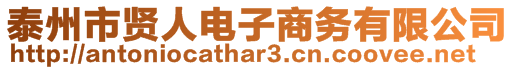 泰州市賢人電子商務(wù)有限公司