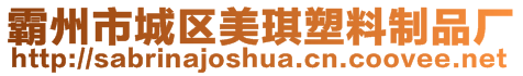 霸州市城區美琪塑料制品廠