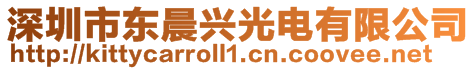 深圳市東晨興光電有限公司