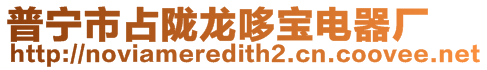 普寧市占隴龍哆寶電器廠