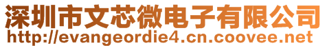 深圳市文芯微電子有限公司