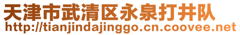 天津市武清區(qū)永泉打井隊