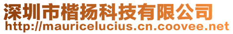 深圳市楷揚科技有限公司