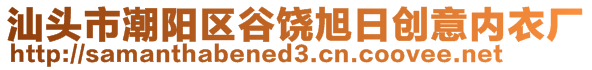 汕頭市潮陽區(qū)谷饒旭日創(chuàng)意內(nèi)衣廠