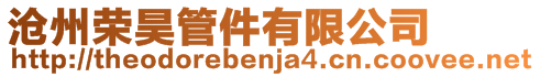 滄州榮昊管件有限公司