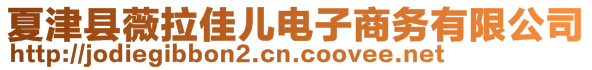 夏津縣薇拉佳兒電子商務(wù)有限公司