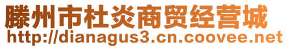 滕州市杜炎商贸经营城