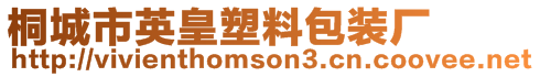 桐城市英皇塑料包裝廠