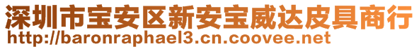 深圳市寶安區(qū)新安寶威達(dá)皮具商行