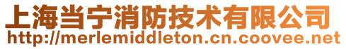 上海當(dāng)寧消防技術(shù)有限公司