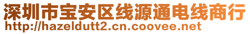 深圳市宝安区线源通电线商行