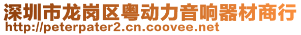 深圳市龍崗區(qū)粵動(dòng)力音響器材商行