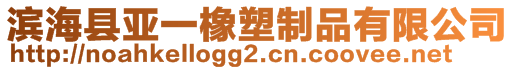 濱海縣亞一橡塑制品有限公司