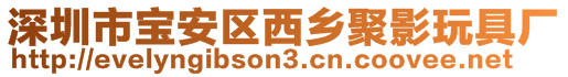 深圳市寶安區(qū)西鄉(xiāng)聚影玩具廠