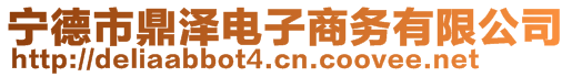 寧德市鼎澤電子商務(wù)有限公司