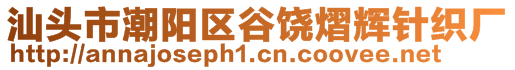 汕頭市潮陽區(qū)谷饒熠輝針織廠