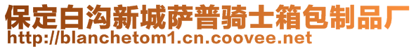 保定白溝新城薩普騎士箱包制品廠