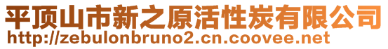 平頂山市新之原活性炭有限公司