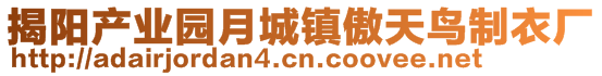 揭陽(yáng)產(chǎn)業(yè)園月城鎮(zhèn)傲天鳥(niǎo)制衣廠